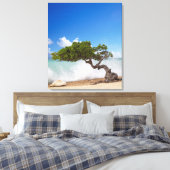 Divi Divi Tree, Eagle Beach, Aruba, Caribisch gebi Canvas Afdruk (Insitu (Slaapkamer))