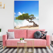 Divi Divi Tree, Eagle Beach, Aruba, Caribisch gebi Canvas Afdruk (Insitu (Woonkamer))