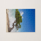 Divi Divi Tree, Eagle Beach, Aruba, Caribisch gebi Legpuzzel (Horizontaal)