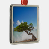 Divi Divi Tree, Eagle Beach, Aruba, Caribisch gebi Metalen Ornament (Rechts)