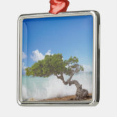 Divi Divi Tree, Eagle Beach, Aruba, Caribisch gebi Metalen Ornament (Links)