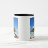 Divi Divi Tree, Eagle Beach, Aruba, Caribisch gebi Mok (Midden)