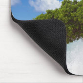 Divi Divi Tree, Eagle Beach, Aruba, Caribisch gebi Muismat (Hoek)