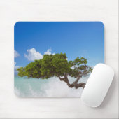Divi Divi Tree, Eagle Beach, Aruba, Caribisch gebi Muismat (Met muis)
