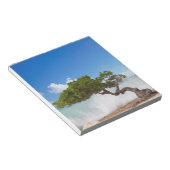 Divi Divi Tree, Eagle Beach, Aruba, Caribisch gebi Notitieblok (Schuin)