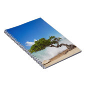 Divi Divi Tree, Eagle Beach, Aruba, Caribisch gebi Notitieboek (Rechterzijde)