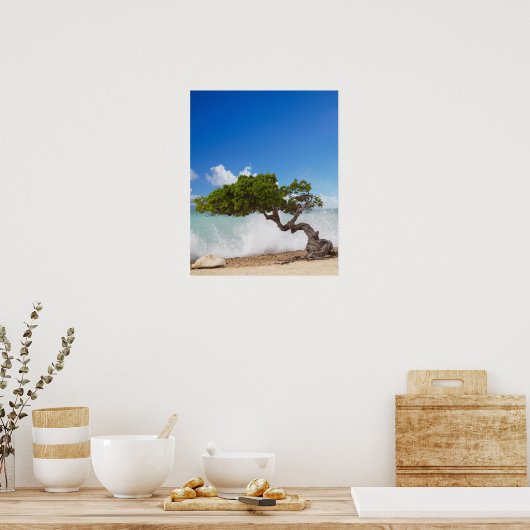 Divi Divi Tree, Eagle Beach, Aruba, Caribisch gebi Poster (Keuken)