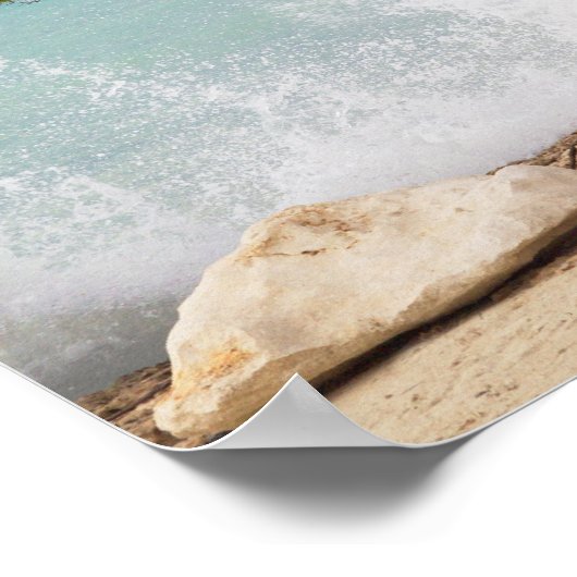 Divi Divi Tree, Eagle Beach, Aruba, Caribisch gebi Poster (Hoek)