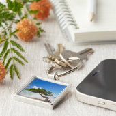 Divi Divi Tree, Eagle Beach, Aruba, Caribisch gebi Sleutelhanger (Zijkant)