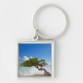 Divi Divi Tree, Eagle Beach, Aruba, Caribisch gebi Sleutelhanger (Voorkant)