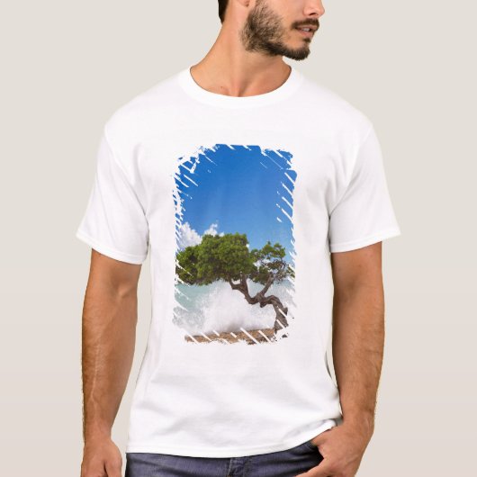 Divi Divi Tree, Eagle Beach, Aruba, Caribisch gebi T-shirt (Voorkant)