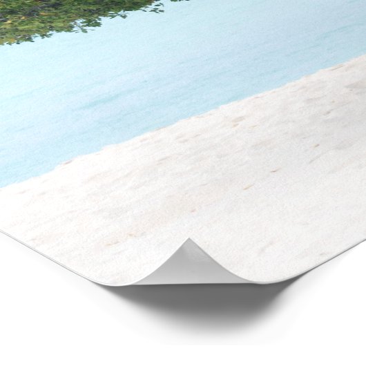 Divi Divi Tree Poster (Hoek)