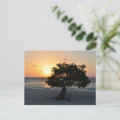 Divi Tree Sunset Briefkaart (Staand voorkant)