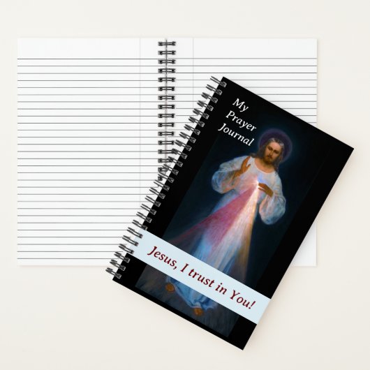 Divina Barmhartigheid Gebed Dagboek Notitieboek (Binnen)