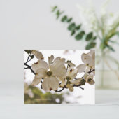 Divine Dogwood Spring Briefkaart (Staand voorkant)