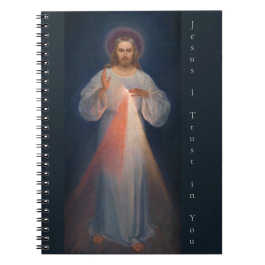 Divine Mercy by Kazimierowski Eugene Notitieboek (Voorkant)