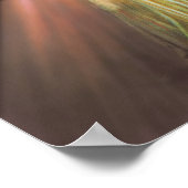 Divine Mercy Devotional Afbeelding. Poster (Hoek)