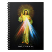 Divine Mercy Jesus Notitieboek (Voorkant)
