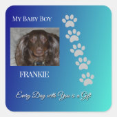 Divine Pawprints Tribute Vierkante Sticker (Voorkant)