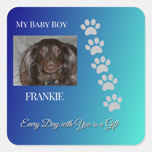 Divine Pawprints Tribute Vierkante Sticker (Voorkant)