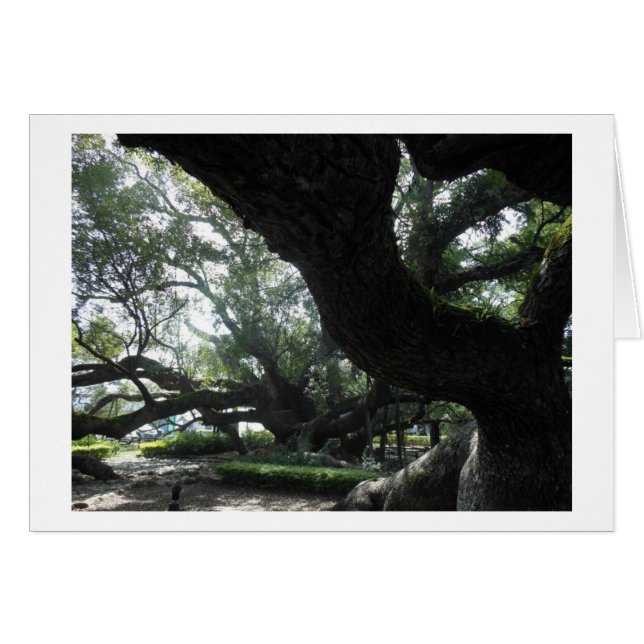 Divine Tree Card (Voorkant Horizontaal)