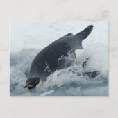 Diving Emperor Penguin Briefkaart (Voorkant)