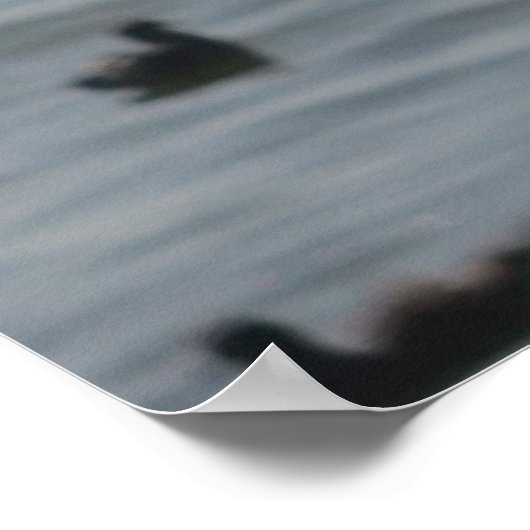 Diving Pelican Poster (Hoek)