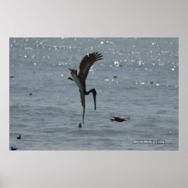 Diving Pelican Poster