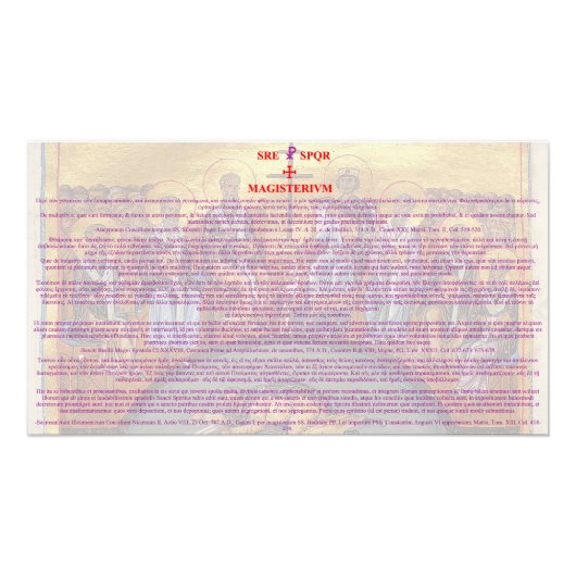 Divini Canones de Abortu secundum Orthodoxiam Foto Afdruk (Voorkant)