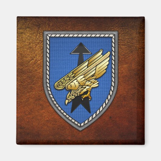 Division Spezielle Operationen (DSO) Magneet (Voorkant)