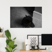 Divo B&W Poster (Thuiskantoor)