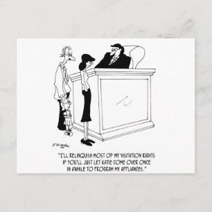 Divorce Cartoon 6485 Briefkaart