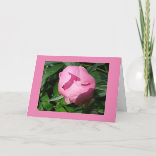 Divorce Kaart (Voorkant)