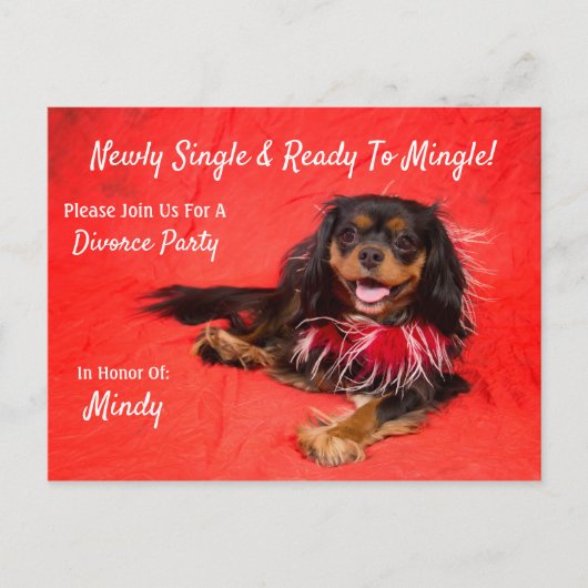 Divorce Party Cavalier King Charles Spaniel Uitnodiging Briefkaart (Voorkant)