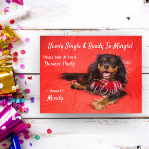Divorce Party Cavalier King Charles Spaniel Uitnodiging Briefkaart