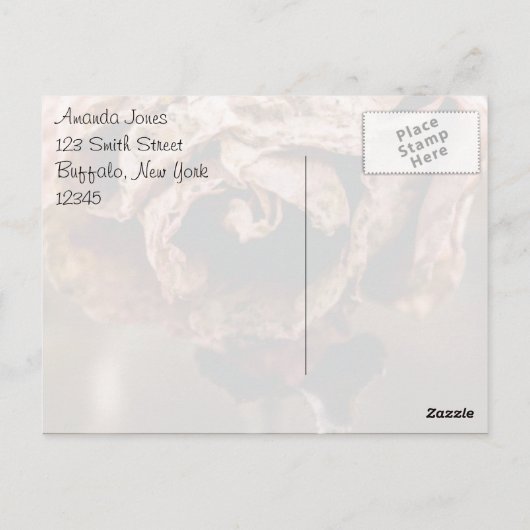 Divorce Party Dead Roos Dank u Briefkaart (Achterkant)