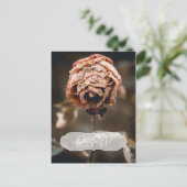 Divorce Party Invitation RSVP met foto Briefkaart (Staand voorkant)