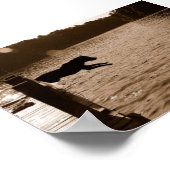 Dixie die van het dok springt poster (Hoek)