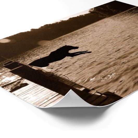 Dixie die van het dok springt poster (Hoek)