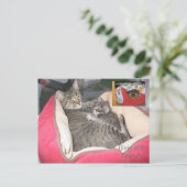 Dixie en Peanut in Peanut's bed Briefkaart (Staand voorkant)