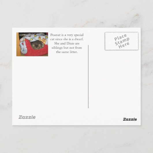 Dixie en Peanut in Peanut's bed Briefkaart (Achterkant)