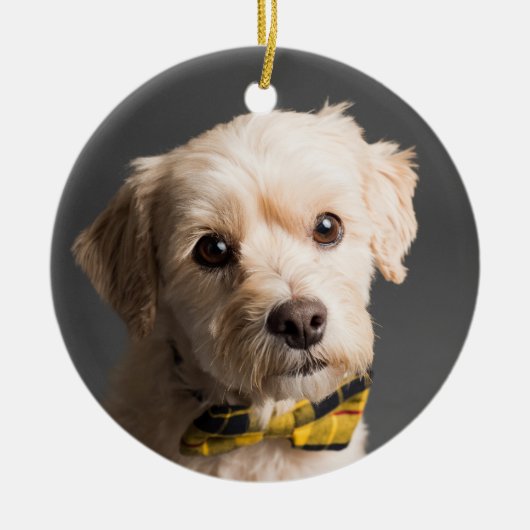 DIY Aangepaste Foto Kerstmis Keramisch Ornament (Voorkant)