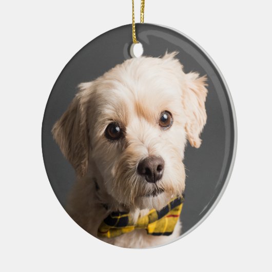 DIY Aangepaste Foto Kerstmis Keramisch Ornament (Links)