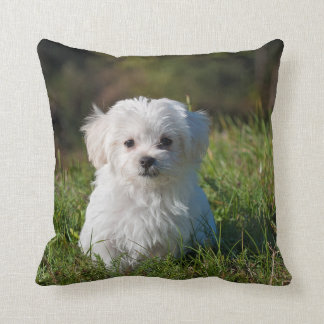 DIY - Afdrukken op een PILLOW - afbeelding en teks Kussen