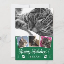 DIY Cat Photo Collage Green Holiday Flat Card Kaart