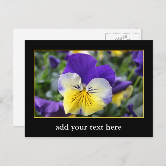 DIY, Creëer uw eigen, voeg uw afbeelding of tekst  Briefkaart (Voorkant / Achterkant)