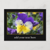 DIY, Creëer uw eigen, voeg uw afbeelding of tekst  Briefkaart (Voorkant)