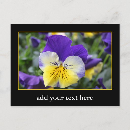 DIY, Creëer uw eigen, voeg uw afbeelding of tekst  Briefkaart (Voorkant)