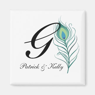 DIY Elegant Peacock Feather Magneet