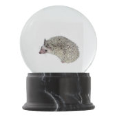 DIY Hedegel-wereldbol Sneeuwbol (Voorkant)